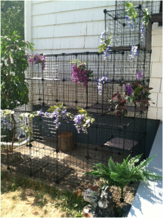 catio own building cat build caboodle designs check cats did kitty